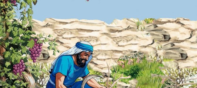 13 May 2020 13 May 2020