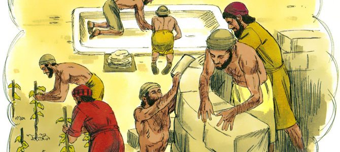 01 June 2020 01 June 2020