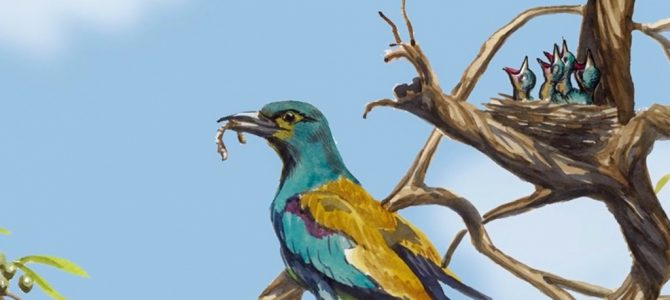 20 June 2020 20 June 2020