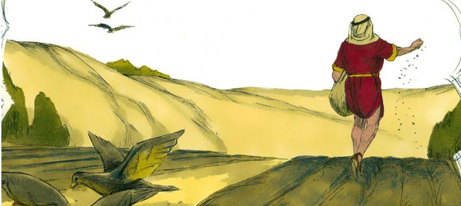 24 July 2020 24 July 2020