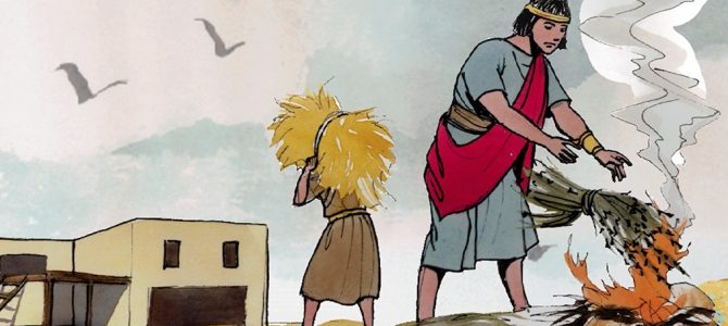 28 July 2020 28 July 2020