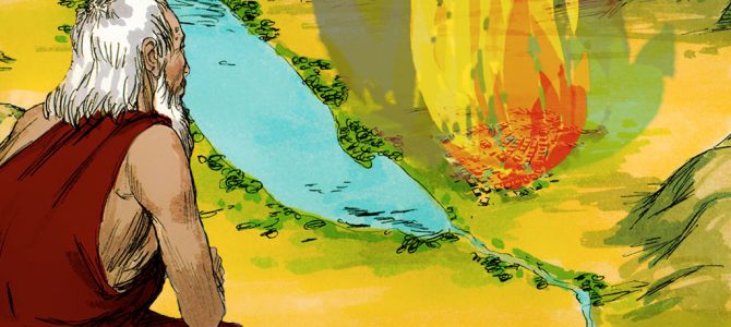 14 July 2020 14 July 2020