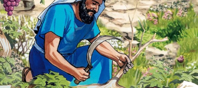 23 July 2020 23 July 2020